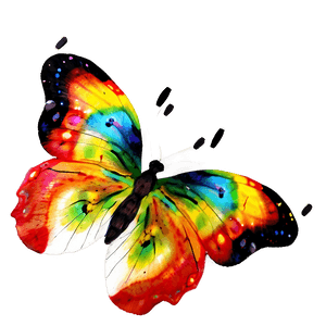 Colorful Butterflies PNG pkq PNG image with transparent background