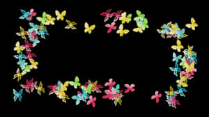 Colorful Butterfly Frame Black Background PNG image with transparent background