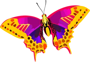 Colorful Butterfly Illustration PNG Image