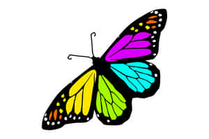 Colorful Butterfly Illustration PNG with transparent background