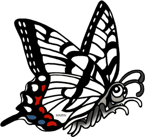Tennessee State Butterfly - Zebra Swallowtail Butterfly Clipart, HD Png Download PNG image with transparent background