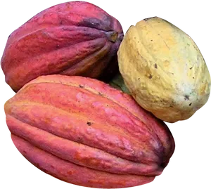 Colorful Cacao Pods Variety PNG Image