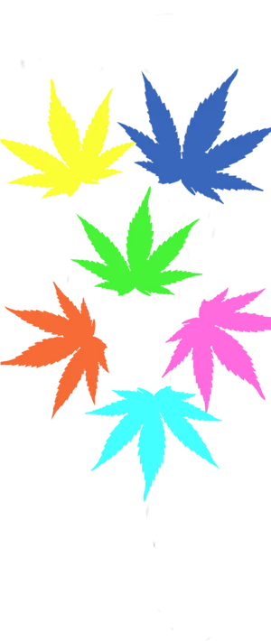 Colorful Cannabis Leaves Vector Art PNG Image