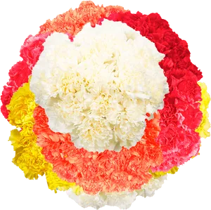 Colorful Carnation Flower Arrangement PNG Image