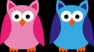Colorful Cartoon Owls Illustration PNG image with transparent background