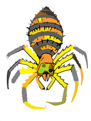 Colorful Cartoon Spider PNG image with transparent background