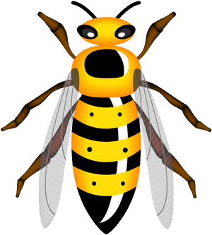 Colorful Cartoon Wasp PNG