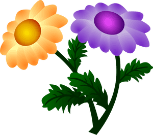 Vector Chrysanthemum - Chrysanthemum, HD Png Download PNG image with transparent background