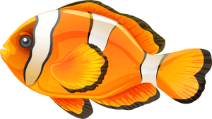 Fish Png, Transparent Png PNG