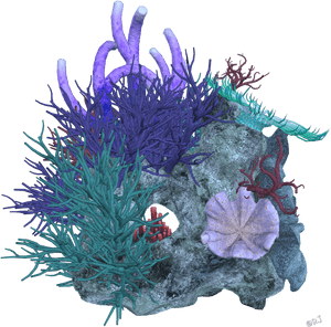 Reef Deep Sea Transprent - Sea Coral Transparent Png, Png Download PNG with transparent background