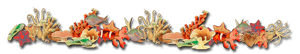 Coralreefborder - Coral Reef Transparent Cartoon, HD Png Download PNG with transparent background