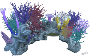 Decor Coral Invertebrate Aquarium Reef Invertebrates - Coral Reef Transparent Background, HD Png Download PNG with transparent background