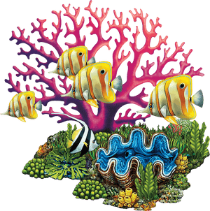 Porc-cr82 Coral Reef Copy - Cartoon Transparent Coral Reef, HD Png Download PNG with transparent background