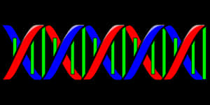 Colorful D N A Double Helix Illustration PNG