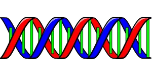 Colorful D N A Double Helix Illustration PNG Image