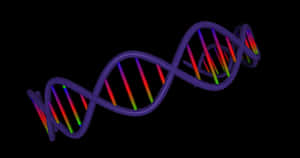 Colorful D N A Double Helix Structure PNG