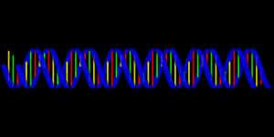 Colorful D N A Double Helix Structure PNG