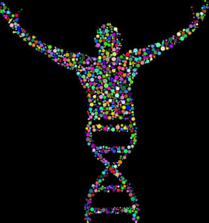 Colorful D N A Human Silhouette PNG