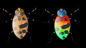 Colorful Digital Beetles Illustration PNG image with transparent background