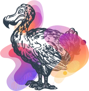 Colorful Dodo Artwork PNG Image