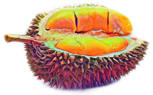 Colorful Durian Fruit Sliced Open PNG Image