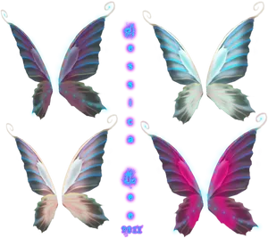 Colorful_ Fairy_ Wings_ Collection_2011 PNG Image