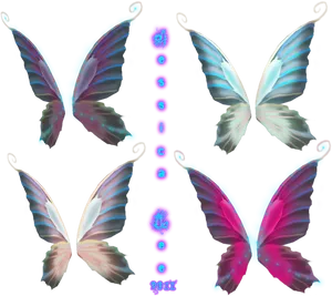 Colorful_ Fairy_ Wings_ Collection_2012 PNG Image