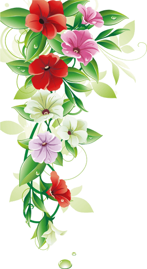 Flower Clip Art - Border Flower Design Png, Transparent Png PNG image with transparent background