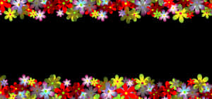 Colorful Floral Border Black Background PNG image with transparent background