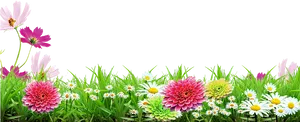 Colorful Floral Grass Border Black Background PNG Image