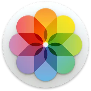 Colorful Flower App Icon PNG Image