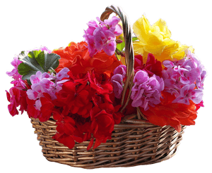 Colorful Flower Basket PNG image with transparent background