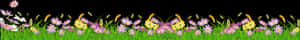 Colorful Flower Border Design PNG