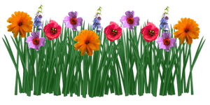 Field Meadow PNG HD PNG with transparent background