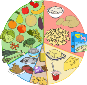 Balanced Diet Eating And Drinking Different Foods To - Balanced Diet Menu Clipart, HD Png Download PNG with transparent background