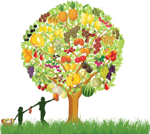 Colorful Fruit Tree Illustration PNG image with transparent background