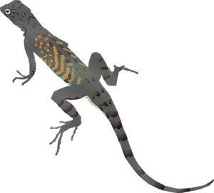 Colorful Gecko Silhouette PNG Image