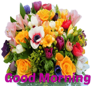 Good Morning Png Image - Big Bunch Of Flowers, Transparent Png PNG image with transparent background