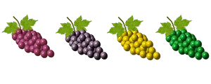 Colorful Grape Bunches Array PNG Image