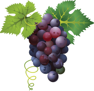 Grape Png, Transparent Png PNG image with transparent background