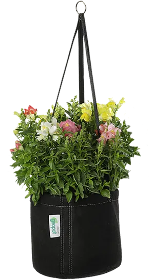 Colorful Hanging Flower Basket PNG Image