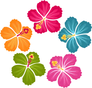 Colorful_ Hawaiian_ Hibiscus_ Flowers_ Vector PNG Image