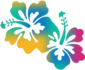 Colorful Hibiscus Silhouette Graphic PNG image with transparent background