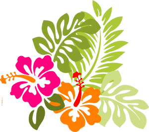 Colorful Hibiscus Vector Illustration PNG image with transparent background