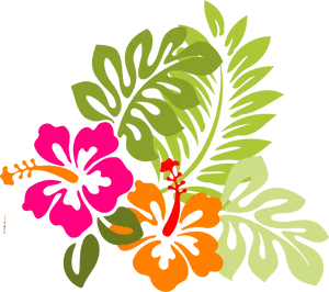 Colorful Hibiscus Vector Illustration PNG Image