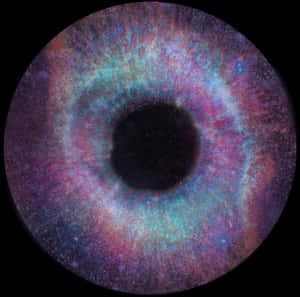Colorful Human Eyeball Closeup PNG image with transparent background