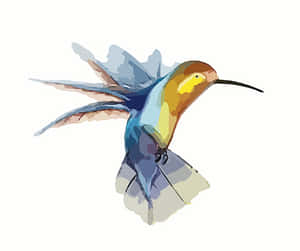 Colorful Hummingbird Illustration PNG image with transparent background