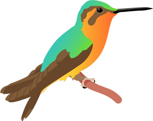 Colorful Hummingbird Illustration PNG image with transparent background