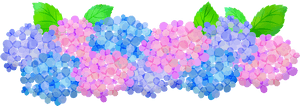 Hydrangeas Clip Art, Floral, Pink And Purple Hydrangeas - Blue Hydrangea Transparent Kawaii, HD Png Download PNG image with transparent background