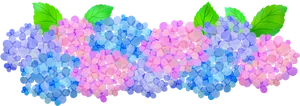 Colorful Hydrangea Blooms Illustration PNG Image